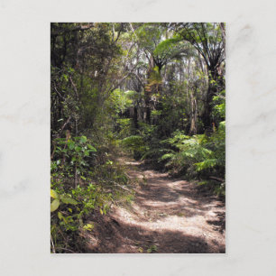 Bushwandelend in Nieuw-Zeeland Briefkaart