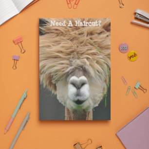 Bushy Hair Brown Llama Hair Stylist Briefkaart