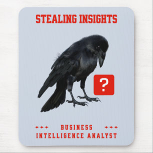 Business Intelligence-analist Crow Muismat