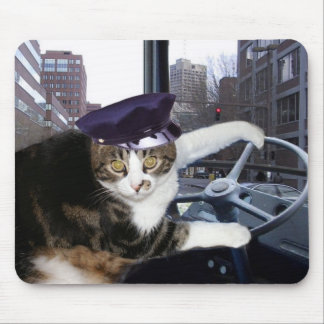 Busrijskat Muismat