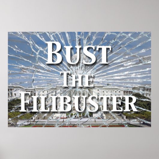 Bust de Filibuster Poster (Voorkant)
