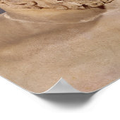 Bust van Aeschylus Poster (Hoek)