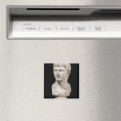 Bust van Germanicus Magneet (Insitu (Vaatwasser))