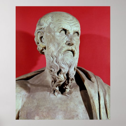Bust van Hesiod Poster (Voorkant)