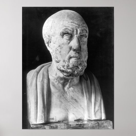 Bust van Hippocrates Poster (Voorkant)