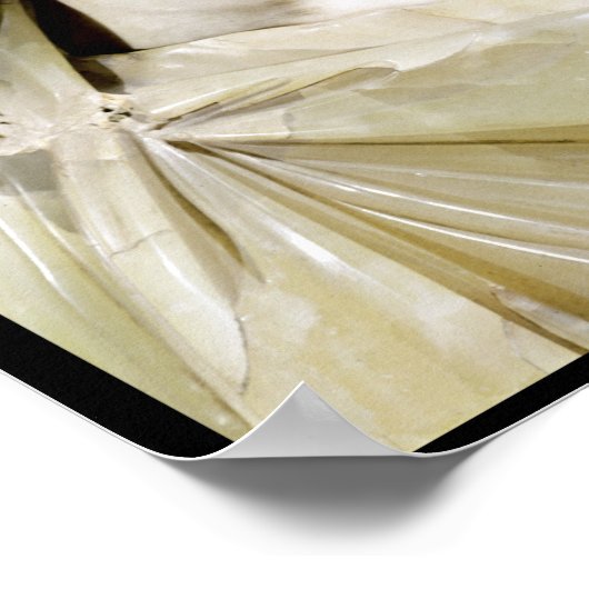 Bust van keizer Septimus Severus Poster (Hoek)