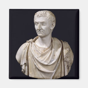 Bust van Marcus Cocceius Nerva Magneet