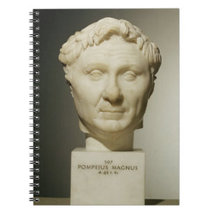 Bust van Pompey (106-48 BC) c.60 BC (marmer) Notitieboek