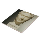 Bust van Pompey (106-48 BC) c.60 BC (marmer) Tegeltje (Zijkant)