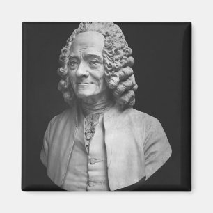 Bust van Voltaire Magneet