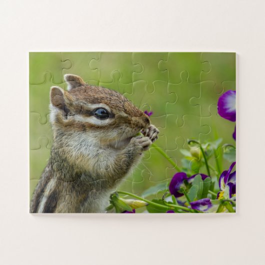 Busted Chipmunk puzzle Legpuzzel (Horizontaal)