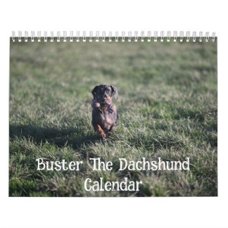 Buster de Teckel Kalender