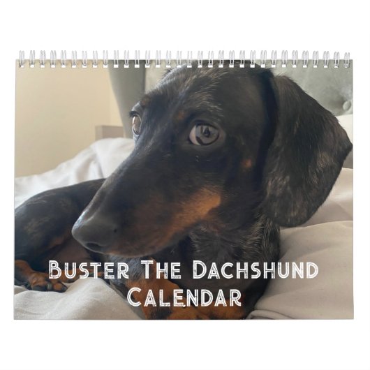 Buster de teckel kalender (Hoes)
