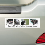 Buster- en Gabe-bumpersticker Bumpersticker (Op auto)
