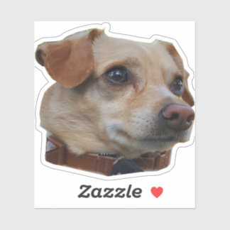 Buster-Sticker Sticker