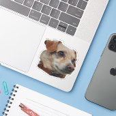 Buster-Sticker Sticker (Laptop met iPhone)