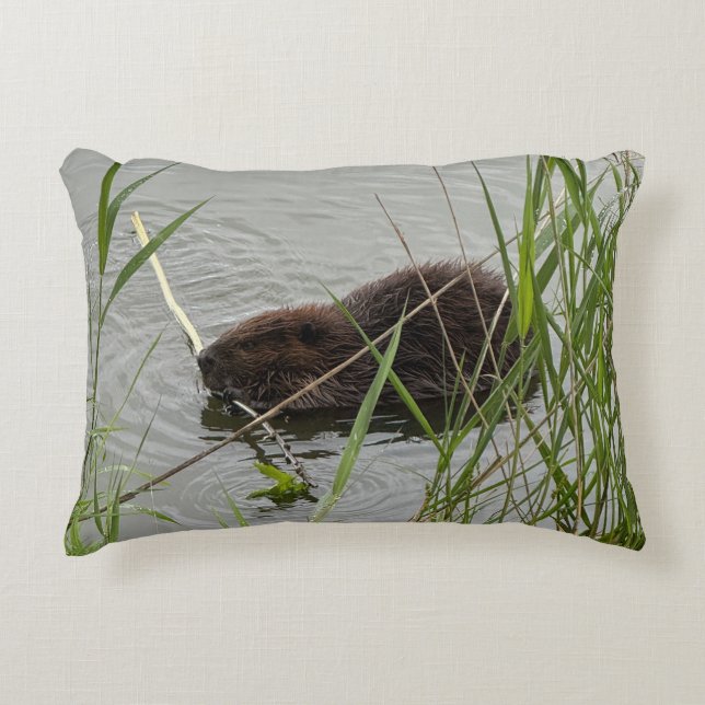 Busy Beaver Accent Pillow Accent Kussen (Voorkant)