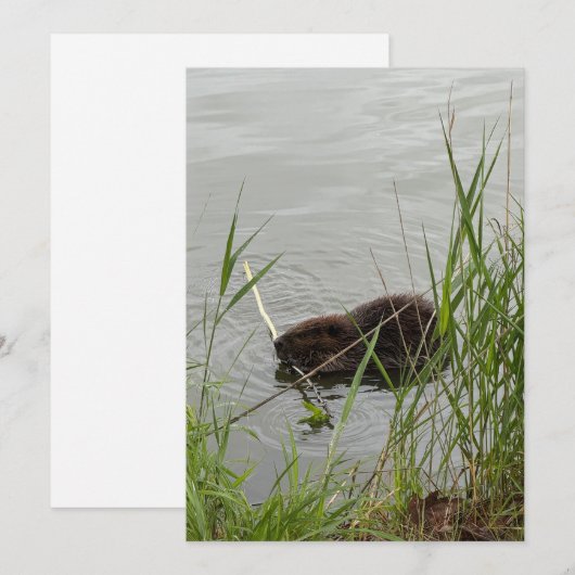 Busy Beaver Feestdagenkaart (Voorkant / Achterkant)