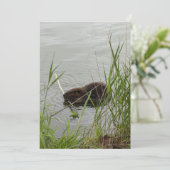 Busy Beaver Feestdagenkaart (Staand voorkant)