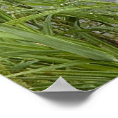 Busy Beaver Poster (Hoek)