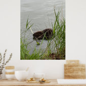 Busy Beaver Poster (Keuken)