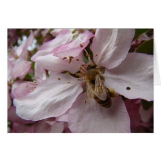 Busy Bee