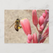 Busy Bee Briefkaart (Voorkant)