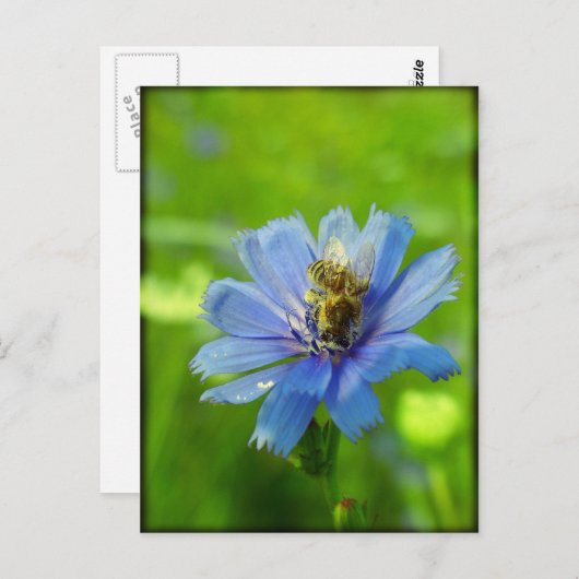 Busy bee briefkaart (Voorkant / Achterkant)