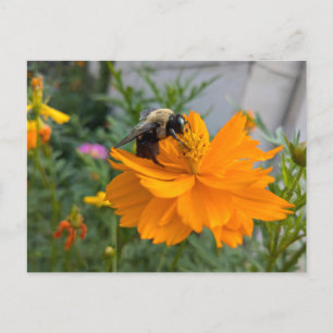 Busy Bee Briefkaart - door Cottagevale