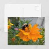 Busy Bee Briefkaart - door Cottagevale (Voorkant / Achterkant)