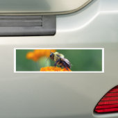 Busy Bee Bumpersticker (Op auto)
