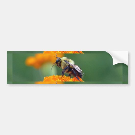 Busy Bee Bumpersticker (Voorkant)