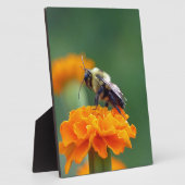 Busy Bee Fotoplaat (Zijkant)