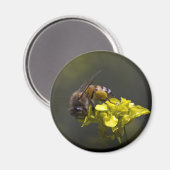 Busy Bee Magneet (Voorkant / Achterkant)