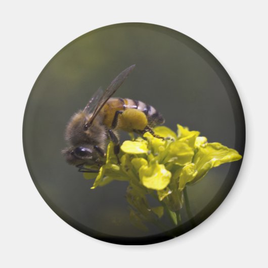 Busy Bee Magneet (Voorkant)