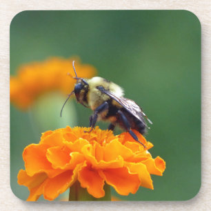 Busy Bee Onderzetter