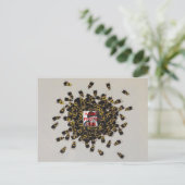 Busy Bee PHOTO INSERT ~ Carte postale (Debout devant)