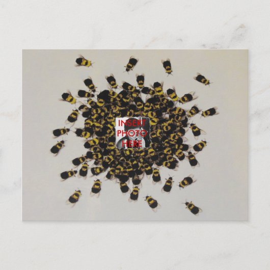 Busy Bee PHOTO INSERT ~ Carte postale (Devant)