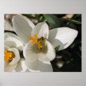 Busy bee poster (Voorkant)