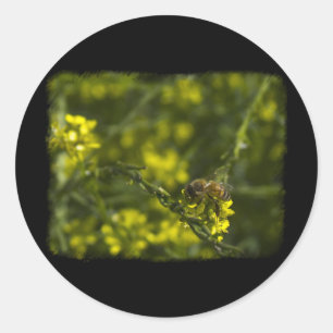 Busy Bee Ronde Sticker