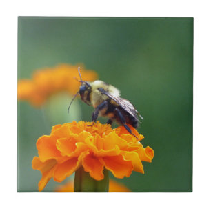 Busy Bee Tegeltje