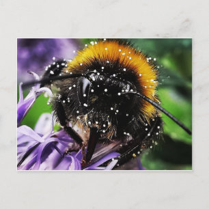 Busy Bumble Bee Briefkaart
