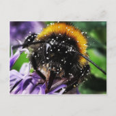 Busy Bumble Bee Briefkaart (Voorkant)
