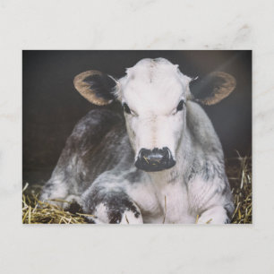 Busy Day Crop Briefkaart