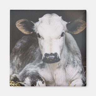 Busy Day Crop Magneet