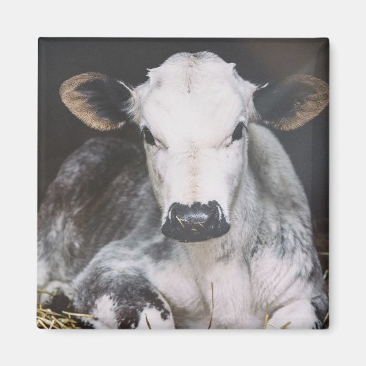 Busy Day Crop Magneet (Voorkant)