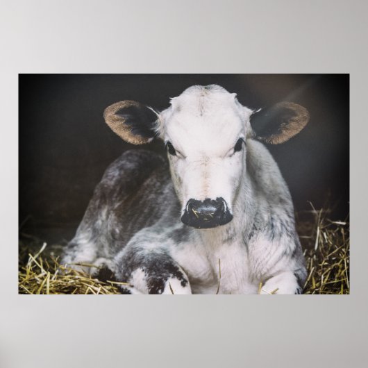 Busy Day Crop Poster (Voorkant)