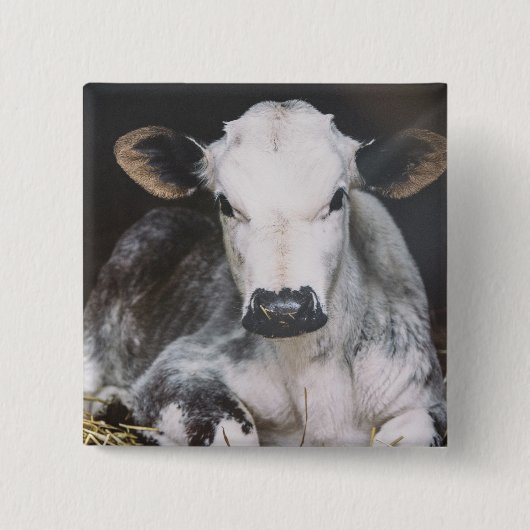 Busy Day Crop Vierkante Button 5,1 Cm (Voorkant)