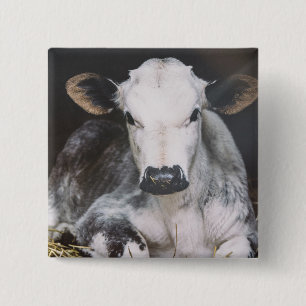 Busy Day Crop Vierkante Button 5,1 Cm