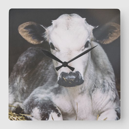 Busy Day Crop Vierkante Klok (Voorkant)